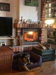 TV a/nebo společenská místnost v ubytování Zielony Domek z jacuzzi
