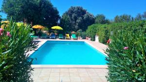 una piscina con sillas y sombrillas en un patio en Quinta Casalinho, en Albufeira