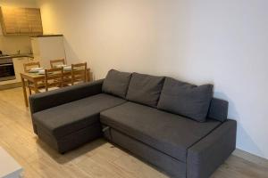 a gray couch in a living room with a kitchen at casa morola Monolocale in Trani