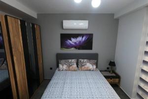 Gallery image of Aura Home just 100 meters to Kleopatra Beach in Alanya