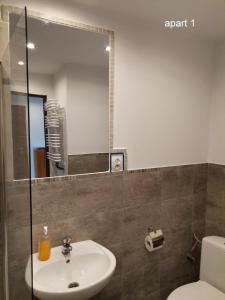 a bathroom with a sink and a toilet and a mirror at Apartament Wolin nad wodą koło Miedzyzdrojów in Wolin