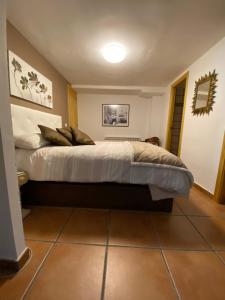 a bedroom with a large bed in a room at Bodega íntima in Zaragoza