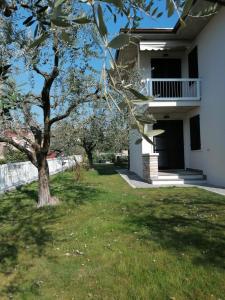 a tree in a yard next to a house at BETULLA BIANCA in Bardolino