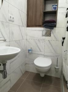 a bathroom with a toilet and a sink at Апартаменты на Соборном с видом на парк in Zaporozhye