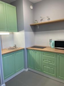 een keuken met groene kasten en een spoelbak bij Warm apart in Kouvola +19 foto's