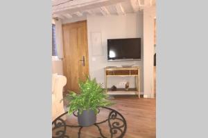 Un televizor și/sau centru de divertisment la La P'tite Grise - Studio Cosy centre Honfleur