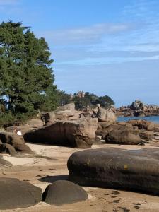 una spiaggia con alcune rocce, acqua e alberi di TI-ARMOR a Louannec