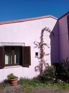 ein weißes Gebäude mit einem Fenster und einer Pflanze in der Unterkunft Pêssego - AL in Arouca