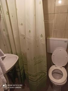 A bathroom at Kuca Drinska dolina