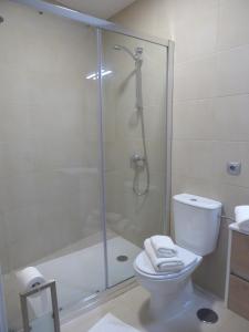 uma casa de banho com um WC e uma cabina de duche em vidro. em Norasuites28 em San Cristóbal de La Laguna