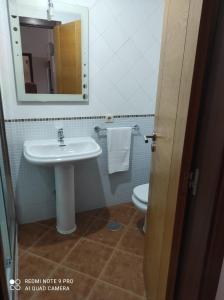 a bathroom with a sink and a toilet and a mirror at Atico Cuntis Thermae in Cuntis