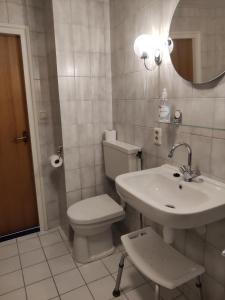 een badkamer met een toilet, een wastafel en een spiegel bij Erve Eshuus Daarle in Daarle