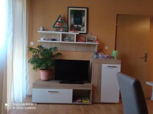TV a/nebo společenská místnost v ubytování Ruža