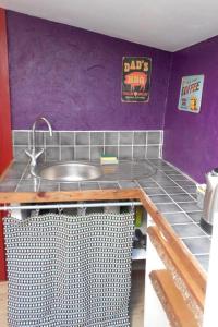 een keuken met een wastafel en een paarse muur bij Les Gites Du Mazel in champis