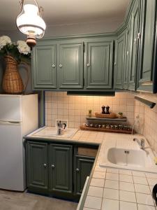a kitchen with green cabinets and a sink and a refrigerator at La Fermette Aux Canards in Savigny-Lévescault