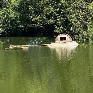 Fotografie z fotogalerie ubytování La Fermette Aux Canards v destinaci Savigny-Lévescault