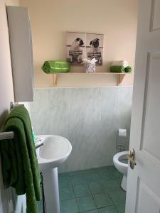 a bathroom with a sink and a toilet at Mayfield House Holiday home in Ballinrobe