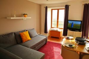 a living room with a couch and a tv at Appartement lumineux coeur de station (sauna !) in Thollon