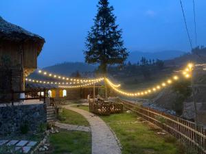 a patio with a string of lights and a tree at Homestay số 91-Suối Hồ Sa Pa in Sa Pa