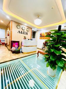 a lobby with a potted plant on the floor at A&EM VILLA in Hanoi