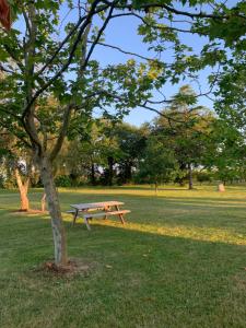 un tavolo da picnic accanto a un albero in un parco di Gîte de Beausoleil a La Romieu