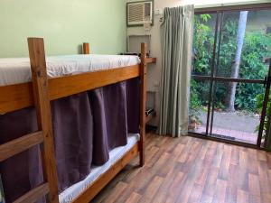 a wooden bunk bed in a room with a window at Backpackers By The Bay in Airlie Beach