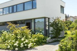 una casa con flores blancas delante de ella en Mettnau-apartment, en Radolfzell am Bodensee