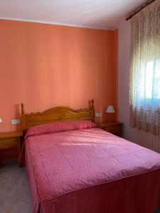 Afbeelding uit fotogalerij van Apartaments Montaña in Alins +10 foto's