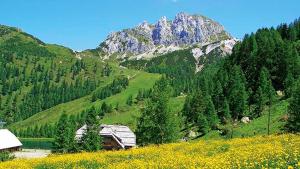 a mountain with a house and a field of flowers at Albergo Spina in Pontebba