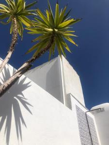Kép Palm House 10 szállásáról Benalmádenában a galériában