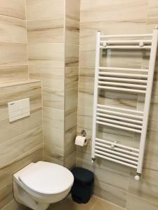 a bathroom with a white toilet in a room at Piatra Craiului Residence Zărnești in Zărneşti +10 photos