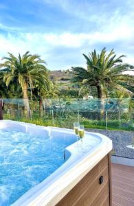 2 copas de vino en una bañera con palmeras en Casas Rurales Amparo Las Hayas, en Valle Gran Rey