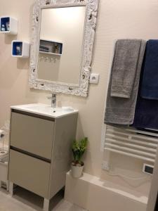 een badkamer met een wastafel en een spiegel bij Appart'Hotel Wombat and Wallaby in Fussy