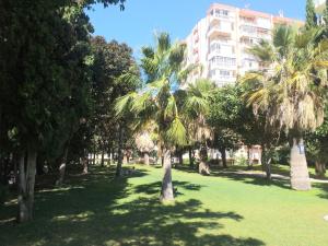 A garden outside Agata Views