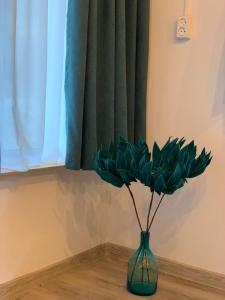 주타에 위치한 Cottage in Juta에서 갤러리에 업로드한 사진