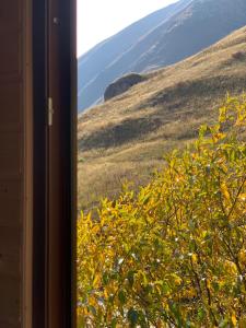 於塔的住宿－Cottage in Juta，窗户享有山景。