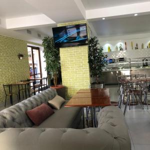 a living room with a couch and a tv on a wall at Золотий ЛЕВ in Zatoka