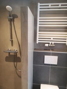 a bathroom with a shower and a toilet and a sink at DWC00 - New romantic studio with large terrace in Domburg