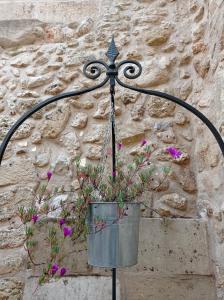 Una pianta in un vaso appesa a un muro di Dimora Krifò a Martano