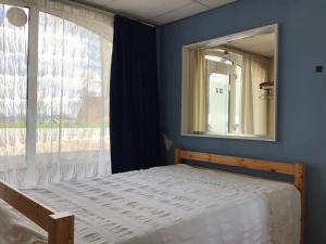 a bedroom with a bed with a mirror and a window at Vredig Toeven in Klaaswaal