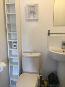 a bathroom with a toilet and a sink at Self-contained Apartment in Corsham