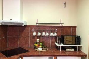 a kitchen with a counter with a microwave and a bowl of fruit at Tu Casa Ecuestre in Villavieja del Lozoya
