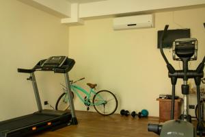 Fitness centrum a/nebo fitness zařízení v ubytování Hotel Nak'An Secreto Maya