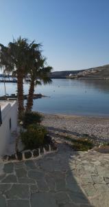 a beach with a palm tree next to the water at Family house by the seaside of Karavostasis in Karavostasi