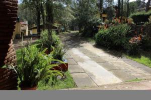 un giardino con piante in vaso e un marciapiede di Cabaña en Mazamitla - Jade a Mazamitla