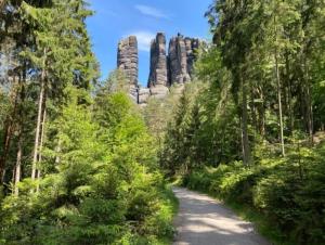 een pad in een bos met rotsen op de achtergrond bij Gohrisch Hartmann in Kurort Gohrisch