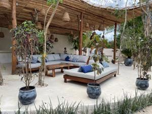 a patio with two couches and potted trees in a pavilion at Casa KaUhmay in Francisco Uh May