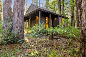 a small cabin in the woods with trees at The Tea House in Sea Ranch