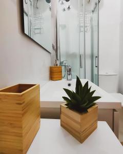 Ett badrum på Alma Canaria Apartments & Rooms