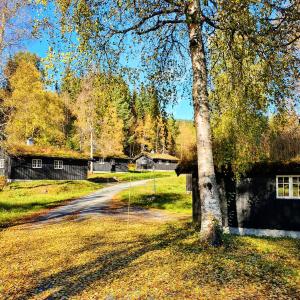 A garden outside Groven Camping & Hyttegrend